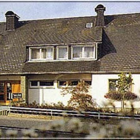 Pension Braun Winterberg Extérieur photo